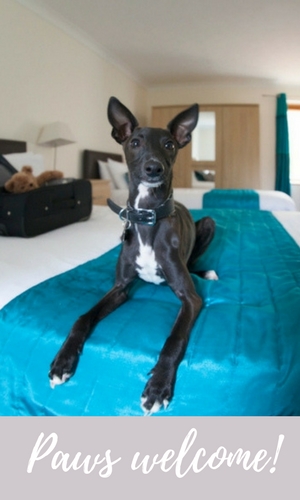 Isle of Wight hotels - dog friendly hotels